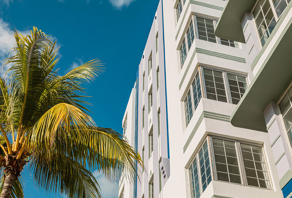 image of building of property and a big palm tree close to it