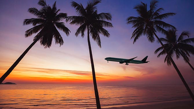 palm trees at sunset with a plane flying in the back