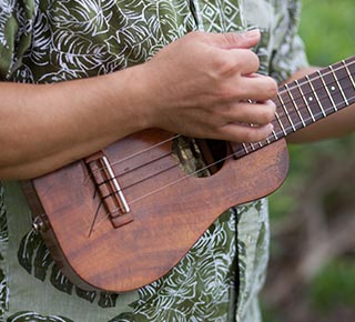 lesson plan hawaii music