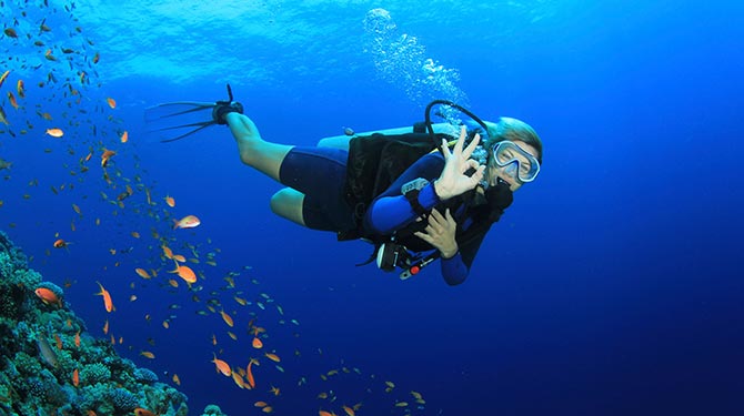 a person snorkeling