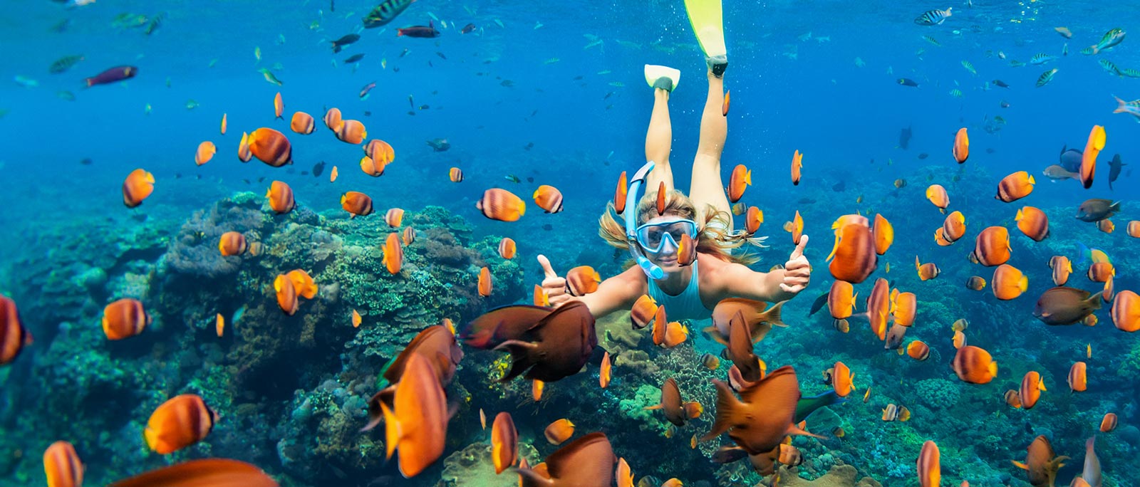 view of a woman snorkeling surrounded by many fish