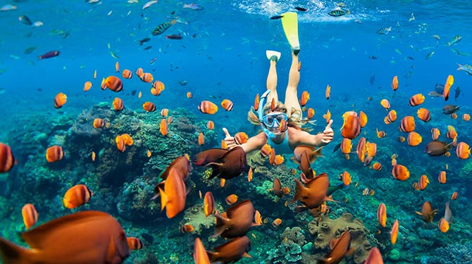 woman doing snorkel with orange fish