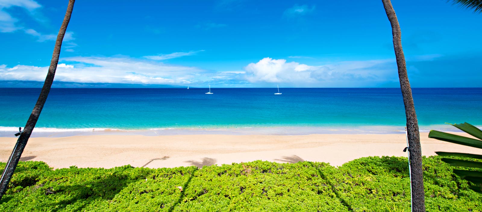 clear blue ocean with clean sands