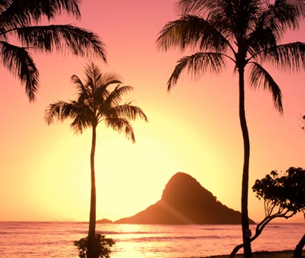 sunset on the ocean with palm trees near and a mountain in the distance