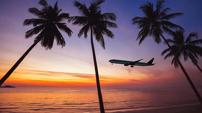 palm trees at sunset with a plane flying in the back