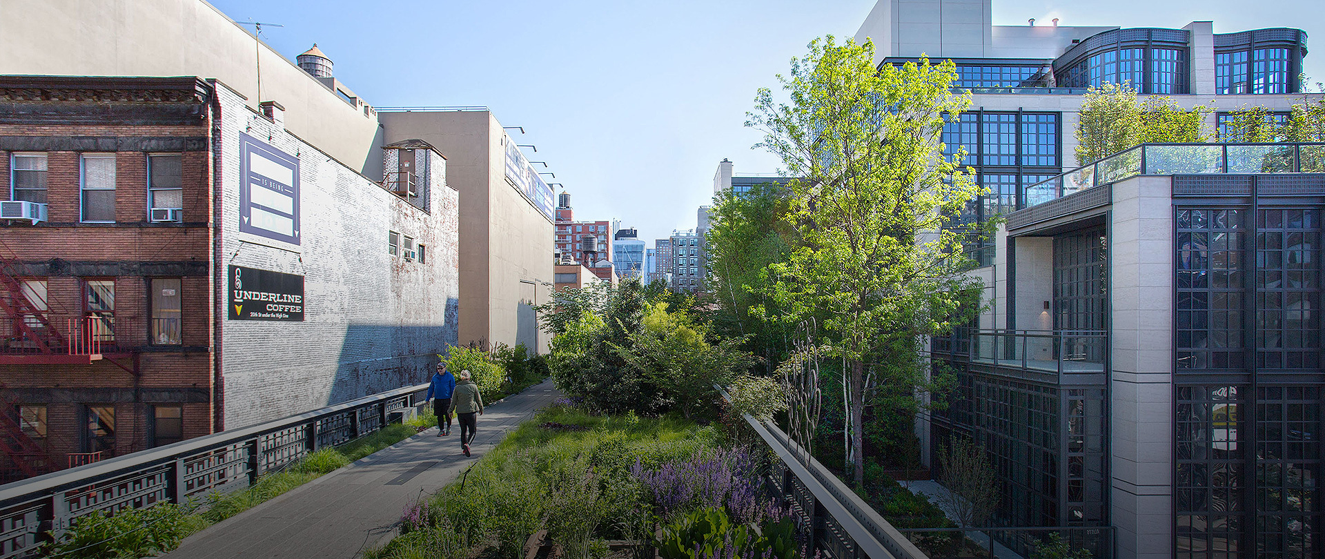 the highline in nyc, green trees and grass in between buildings
