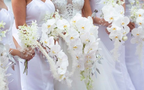 white orchids being held by the bride and her bridesmaids 