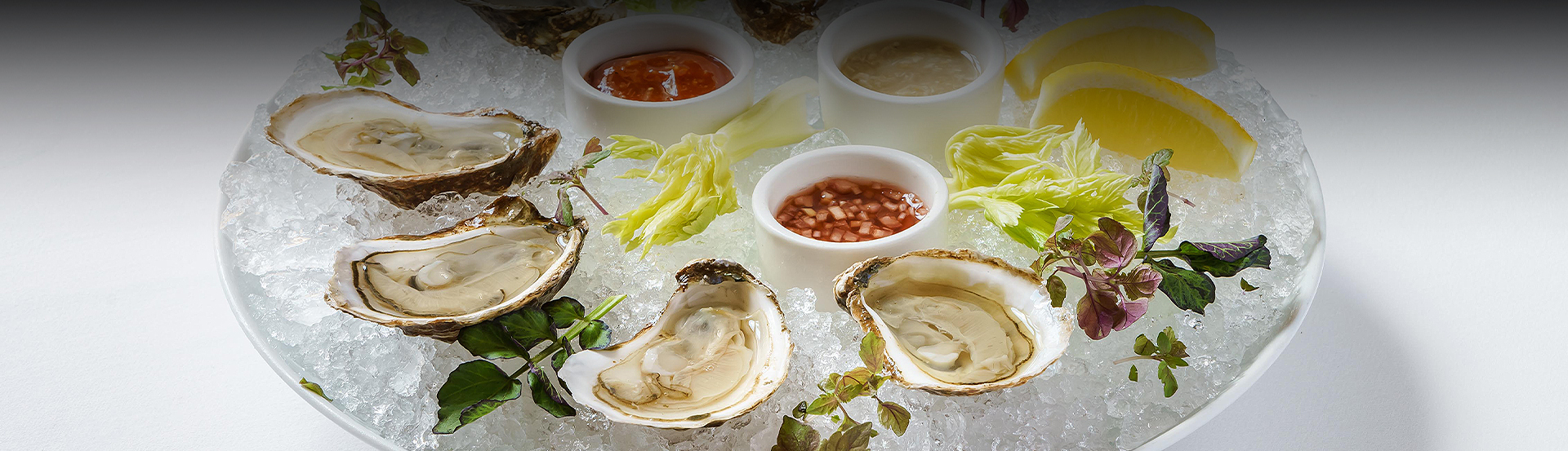 oysters on an ice plate