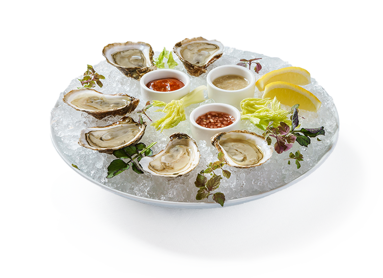 plate of oysters on ice