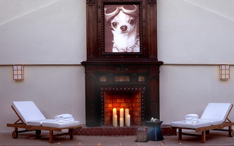 pool lounge chairs near a fire pit with a painting of a dog above
