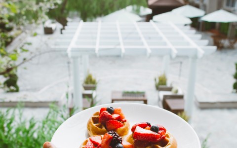 plate of 3 mini waffles with fruits