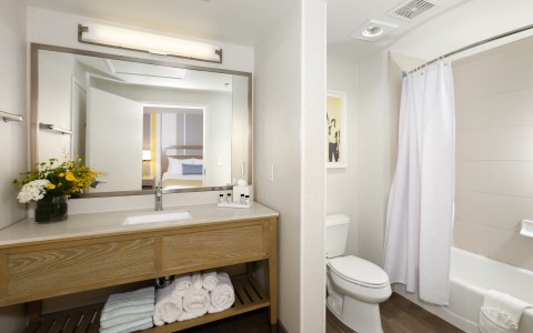 hotel vanity, toilet and shower