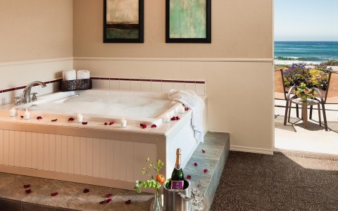 View of a Private in-room spa with a Jacuzzi, some petals and champaign 