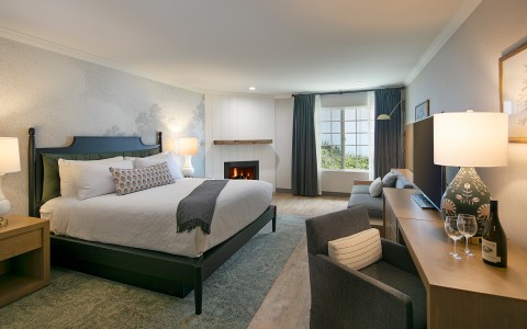 hotel room with 1 bed and fireplace