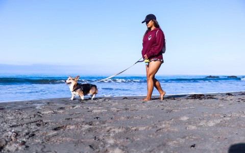 woman walking dog on beach