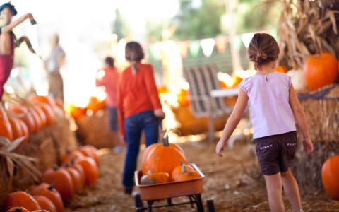 kids playing with pumpkins 