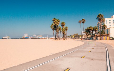 venice beach boardwalk with tall palm trees