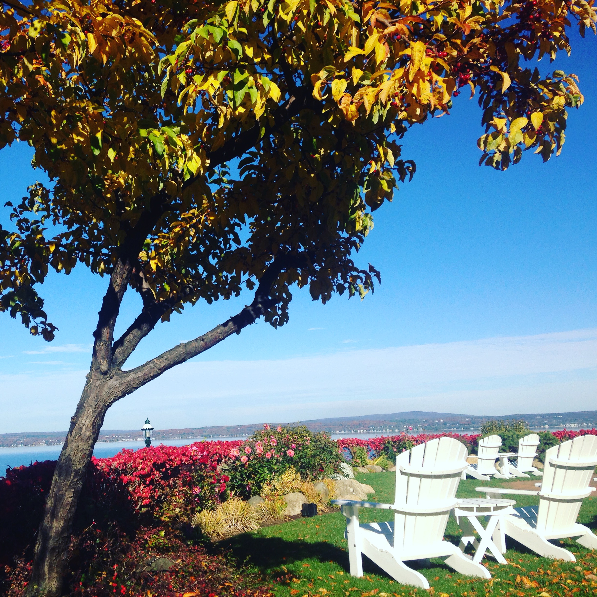 little traverse bay, fall color, perry hotel