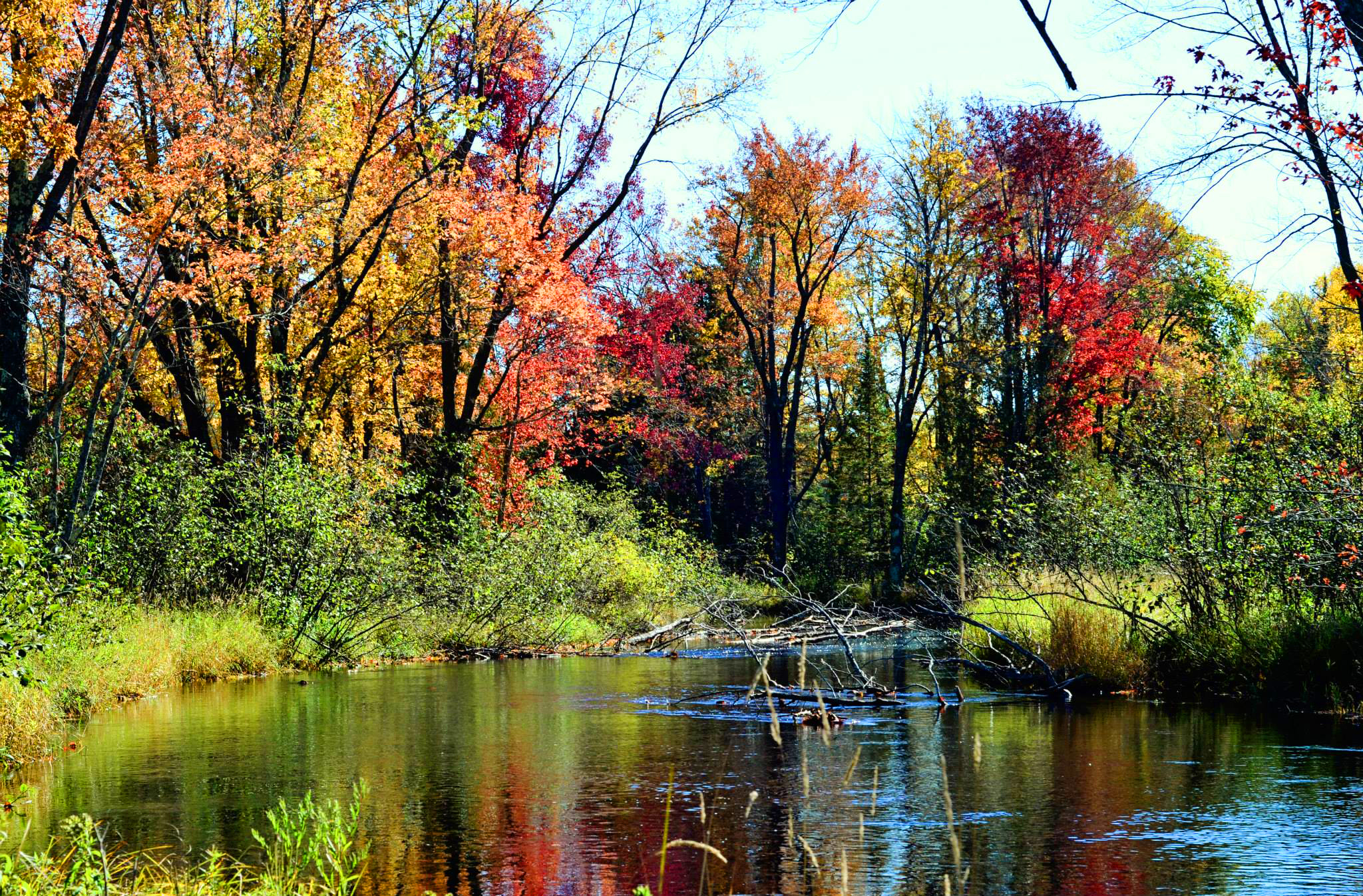 maple river 3