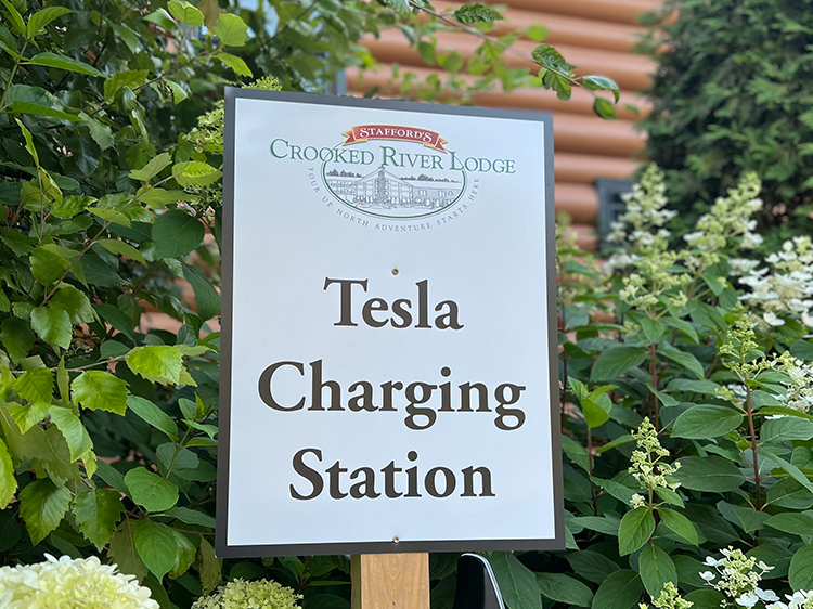 Tesla Charging Station with some plants behind