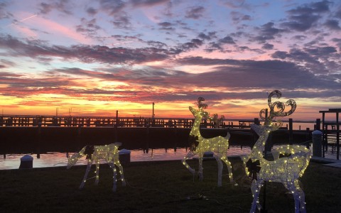 christmas reindeer decorations lit up with the sunset in the background