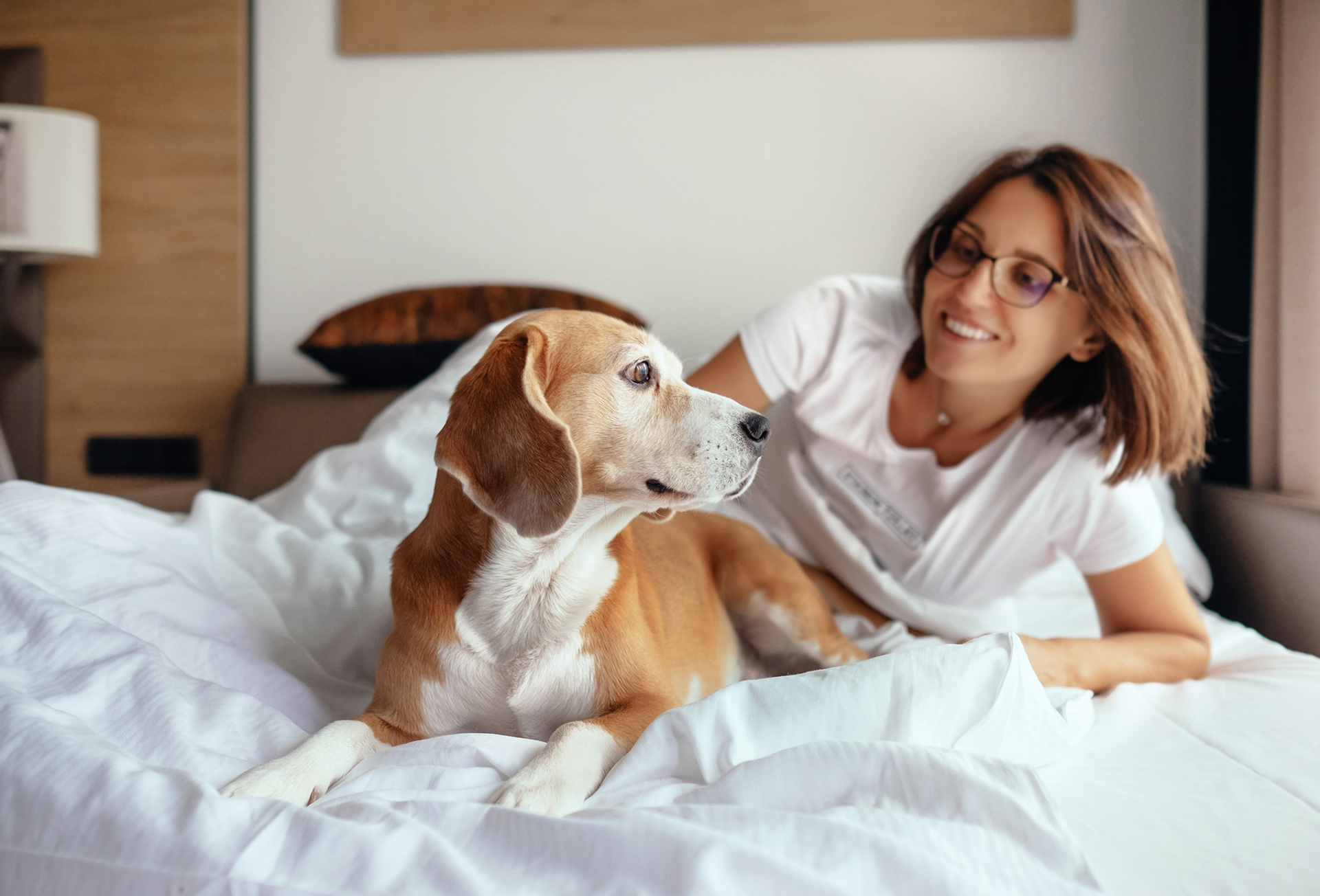 dog and owner relaxing in bed