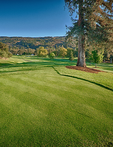 Par 4 / Yards 378