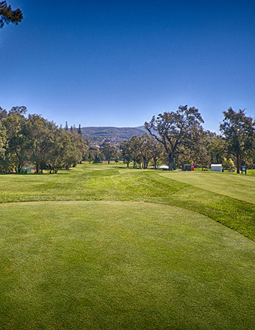 Par 5 / Yards 536