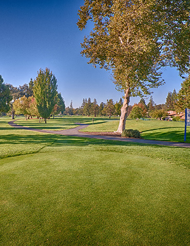 Par 4 / Yards 431