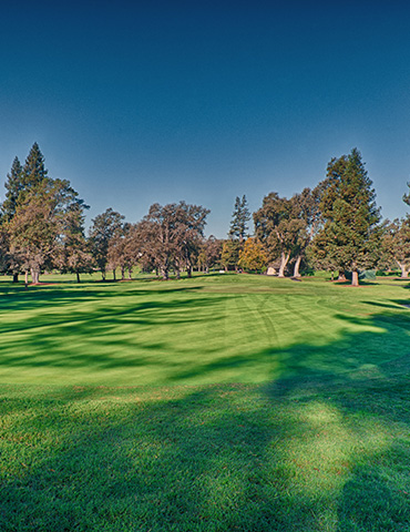 Par 3 / Yards 209