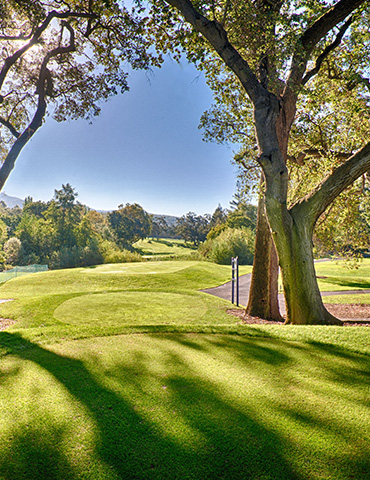Par 4 / Yards 344