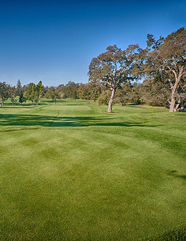 Par 5 / 521