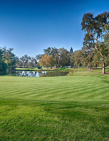 Par 3 / Yards 174