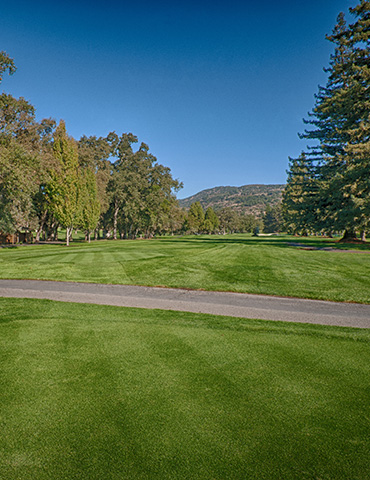 Par 4 / Yards 389