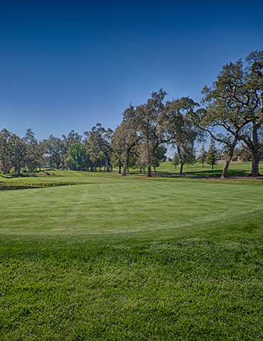 Par 3 / Yards 187