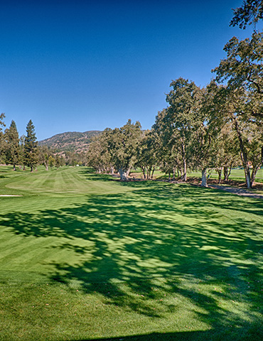 Par 5 / Yards 521