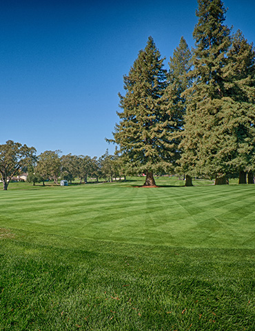 Par 4 / Yards 355