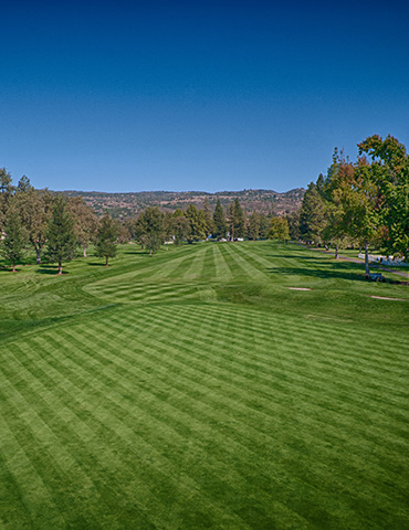 Par 5 / Yards 539