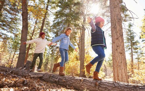 three children walking in a fallen tree within the forest