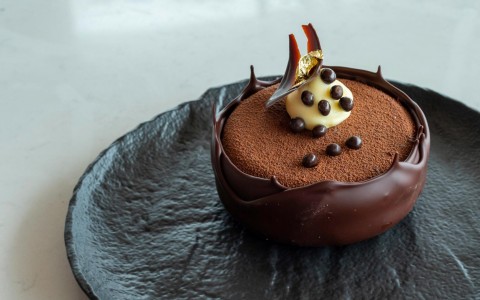 chocolate dessert 