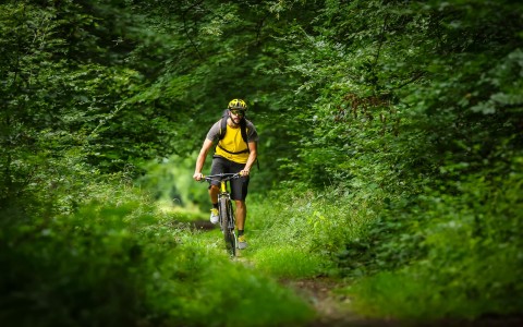 man riding a bike in the forest