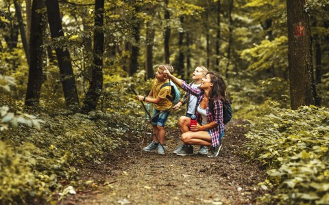 a woman and two children hiking within a forest