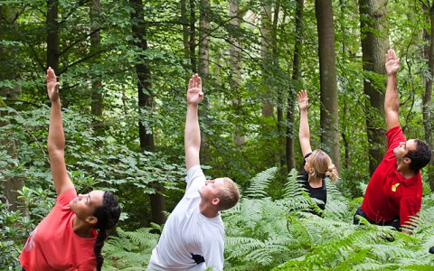 people doing yoga in the forest wellness health body and mind