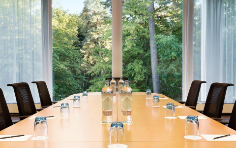 meeting water notepads forest view Sonian Forest Foret de Soignes Zonienwoud Vergadering Réunion Dolce la Hulpe Brussels