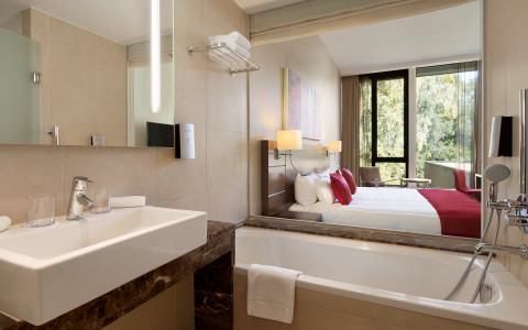 Bathroom Suite Badkamer Salle de Bain Forest View Vue Foret Bosuitzicht Hotel Dolce la Hulpe Brussels 
