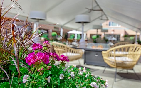 courtyard under tent with focus on flowers
