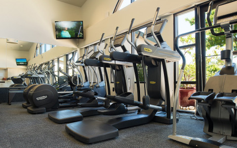 TechnoGym fitness equipment located at the Spa fitness center