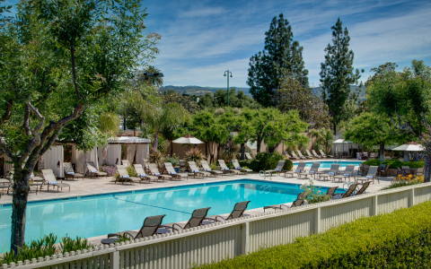 The pool at Silverado Spa is the ideal space to get your swim or tan on during a sunny day.