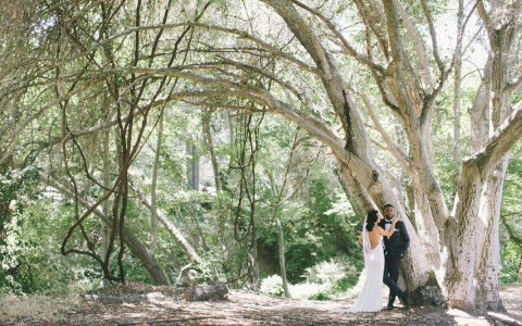 Popular photographer spot for wedding photos in the Grove