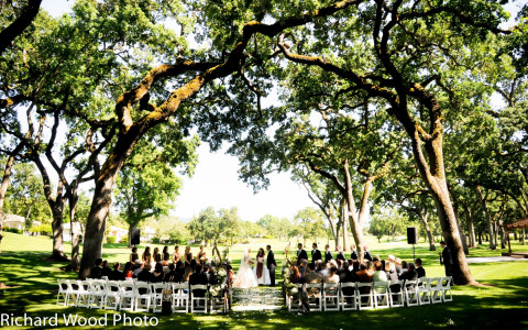  A Ceremony at the Grove with beautiful Oak trees making an arch 